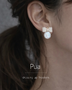 Pua