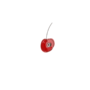 しか